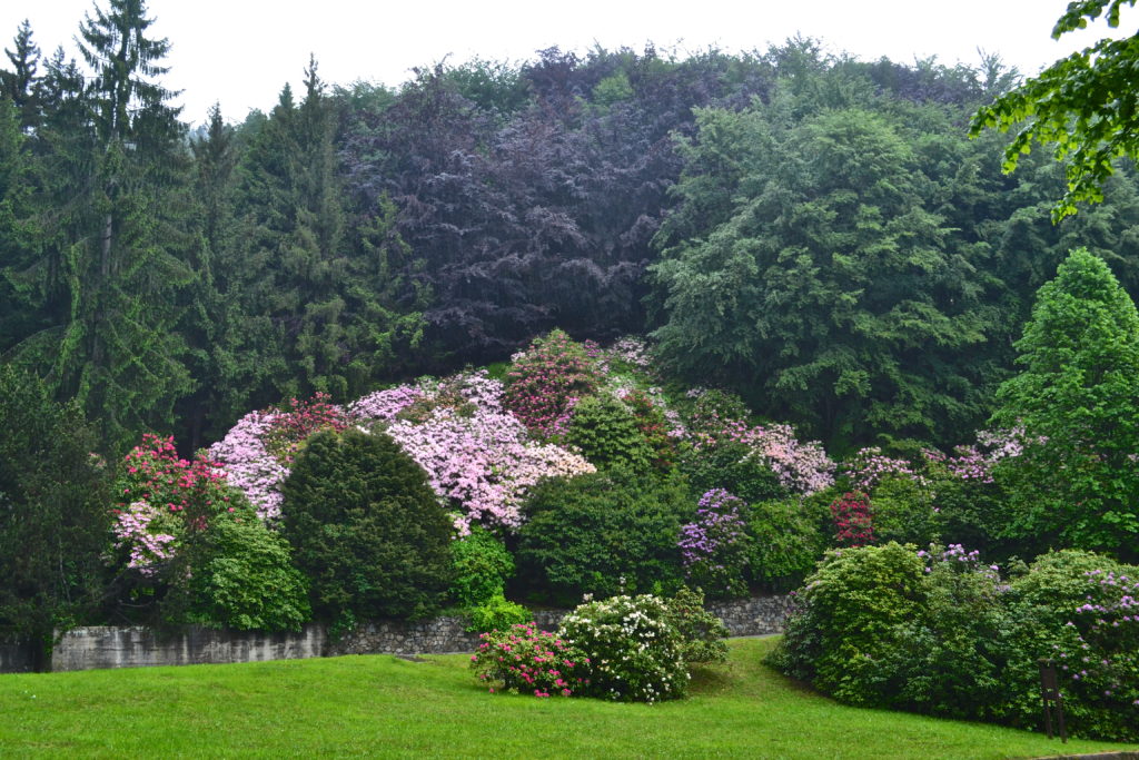 conca dei rododendri